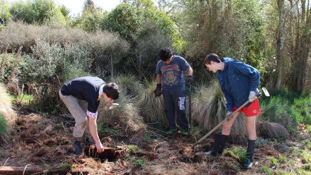 Award programme benefits community – The Southland Times