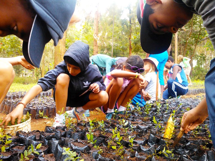 ADVENTURE IN THE WILD: A DIFFERENT KIND OF EDUCATION – Nomad Magazine
